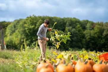 Researcher stands in a pumpkin patchh
